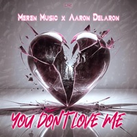 You Don't Love Me (with Aaron Delaron) - Single - Merèn Music