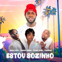 Estou Sozinho (feat. Júnior Lisboa, Delma Silva & Tshunami) - Single - Rafael Beats