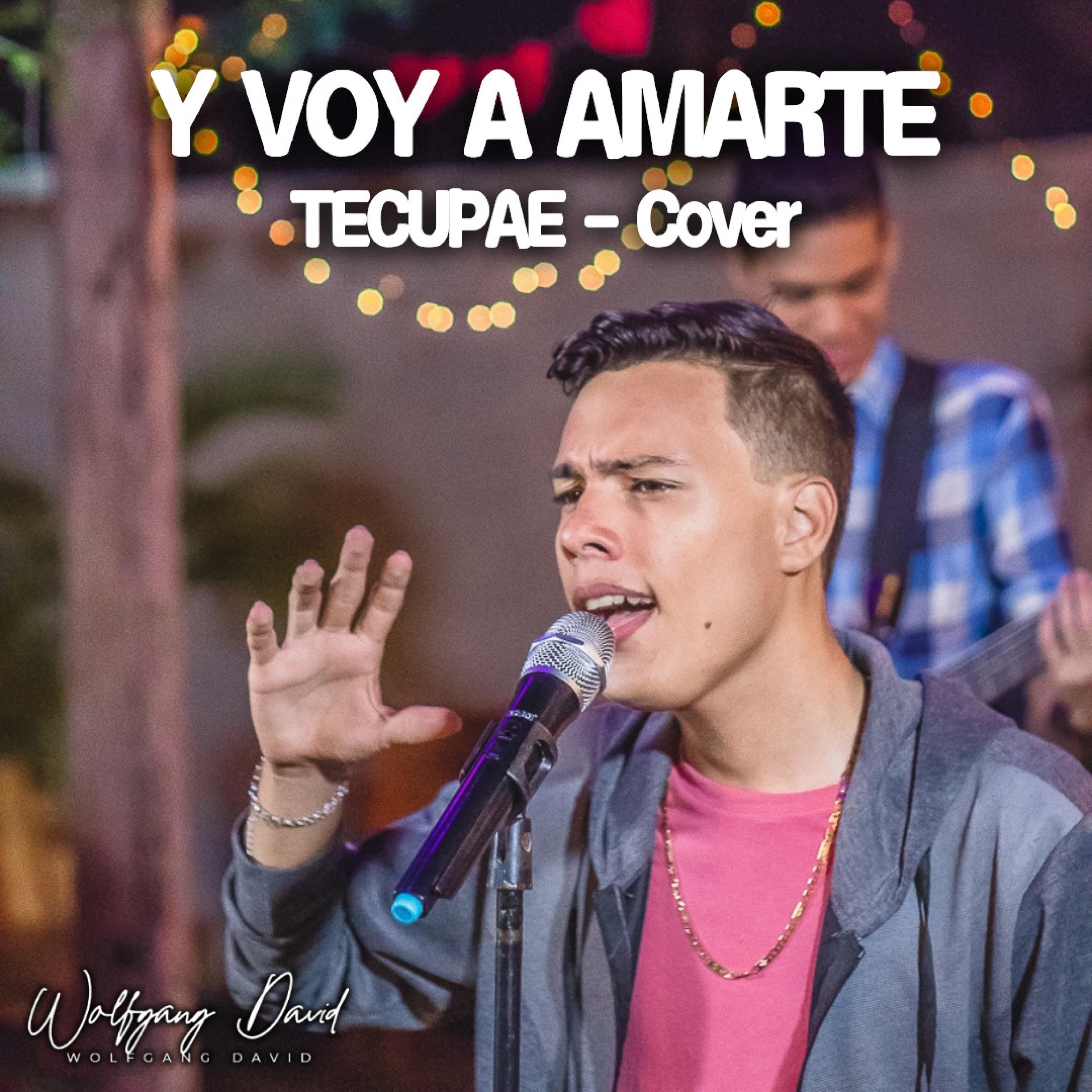 Y Voy A Amarte - Single