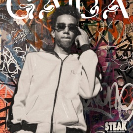 Gaidi (feat. Mr.Tee) Tvrno