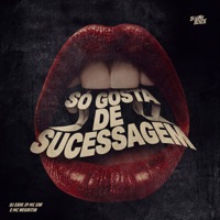 SÓ GOSTA DE SUCESSAGEM - Single - DJ Erik JP, Mc Gw & MC Negritin