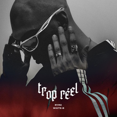 Trop Réel - Single