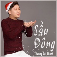 Sầu Đông - Single - Vương Đại Thành