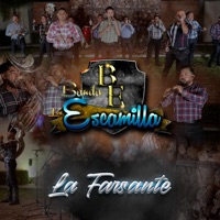 La Farsante - Single - Banda Los Escamilla La Consentida De Jerez