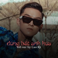 Đừng Bắt Anh Hứa (Cao Kỳ Lofi) - Single - DONALD GOLD
