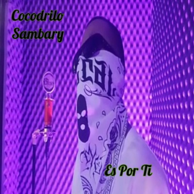Es Por Ti - Single