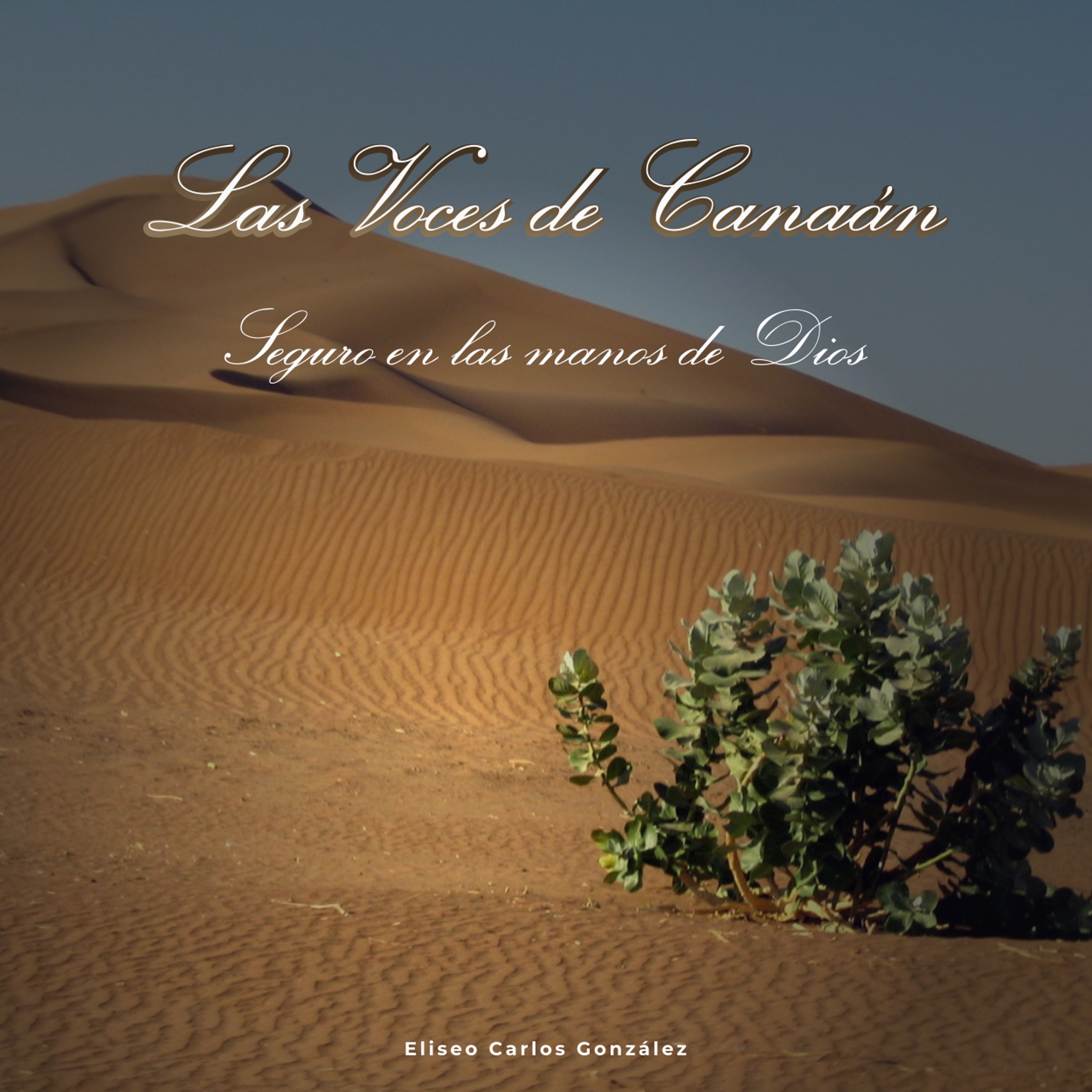 Seguro en las Manos de Dios