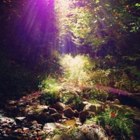 Tell Me Freestyle - Single - DAMNABRAHAM