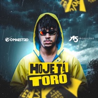 Hoje Tá Toró - Single - O Maestro