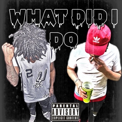 What Did I Do (feat. Introv3rt) - Single