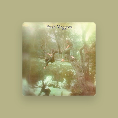 Fresh Maggots