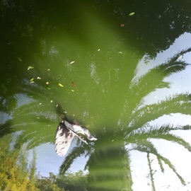 Mirage (Loverground Remix) Aguava & Loverground