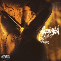 ALQUIMIA (feat. DELINCUANSEX) - Single - Soul Armoniko