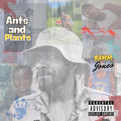Ants and Plants