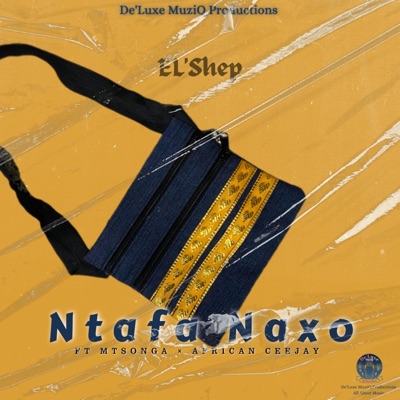 Ntafa Naxo (feat. Mtsonga & African Ceejay) - Single