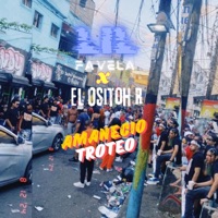 amanecio troteo - Single - Lil favela