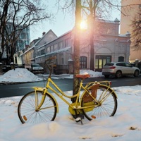 Bicycle ride - Single