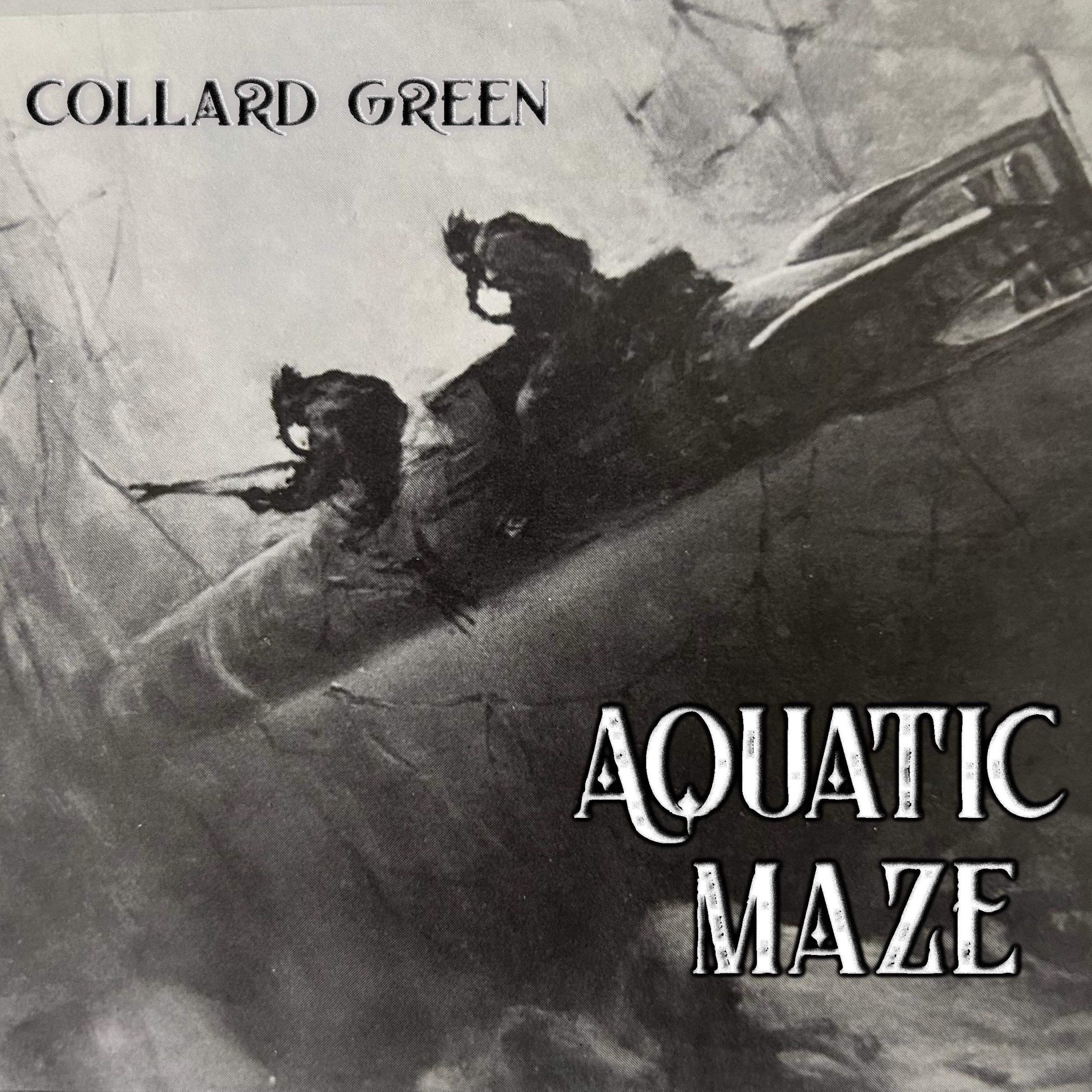 Aquatic Maze - Single