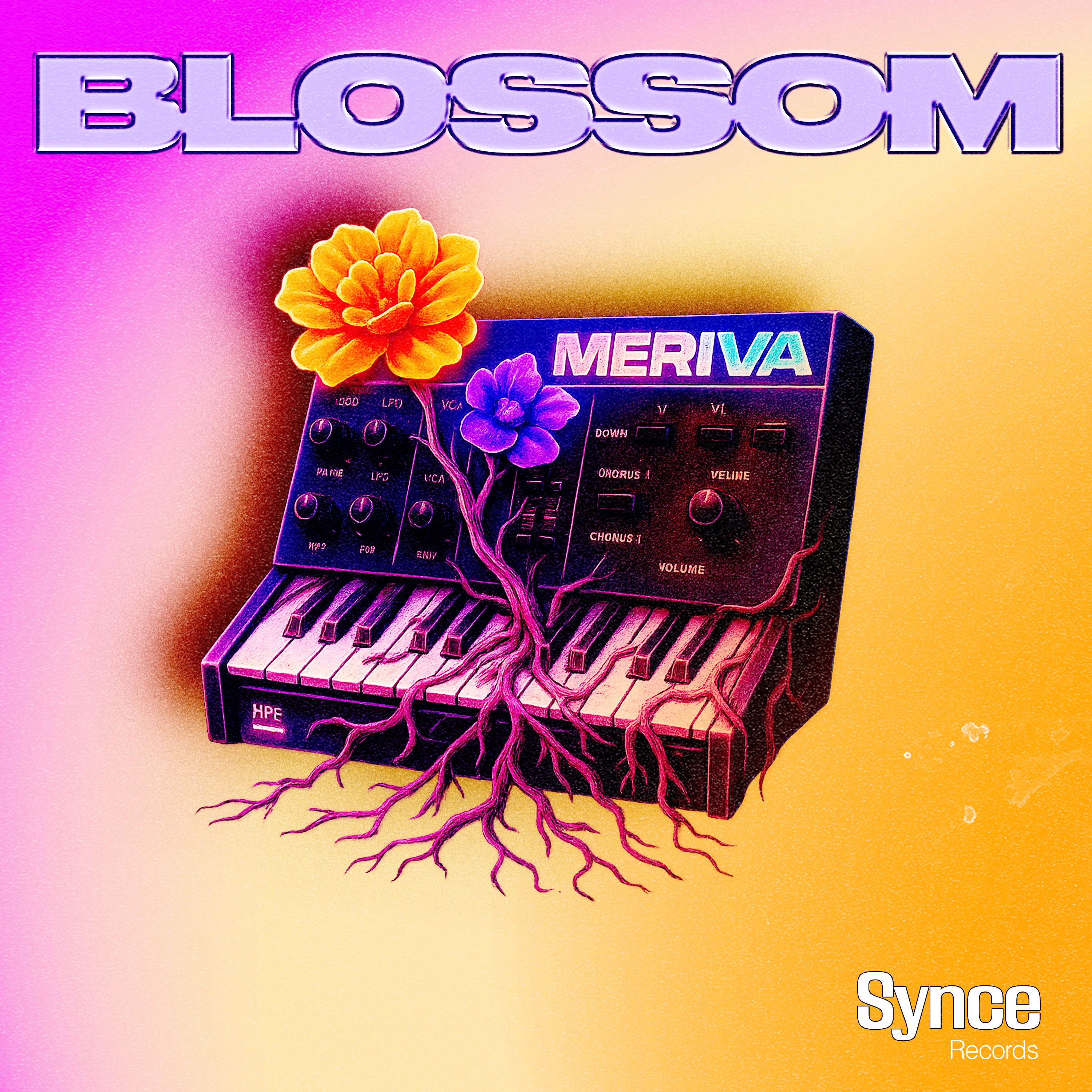 Blossom - Single