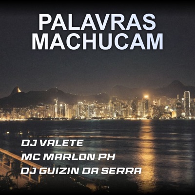 Palavras Machucam - Single