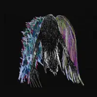 Disorder — CONDORE