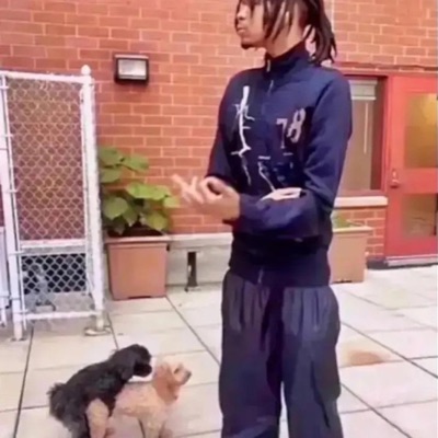 ##section8soldiers (feat. blayze) - Single