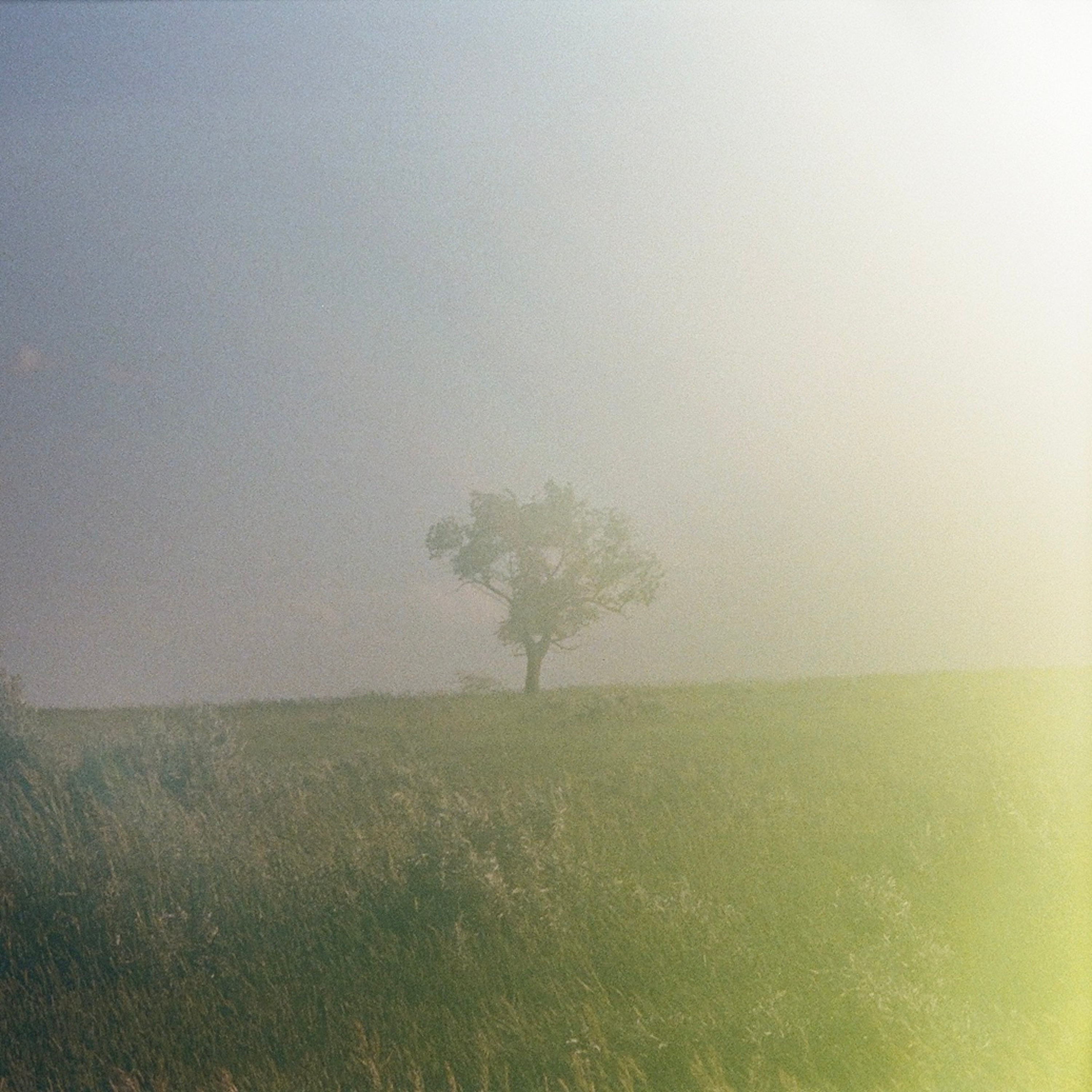 I don't want your sacrifice - Single