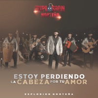 ESTOY PERDIENDO LA CABEZA POR TU AMOR