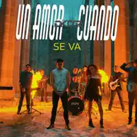 Un Amor Cuando Se Va