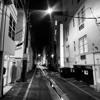 .PYTHON. - Single - Bambino47