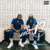 Cell 17 - Single - Savo & (CGM) ZK