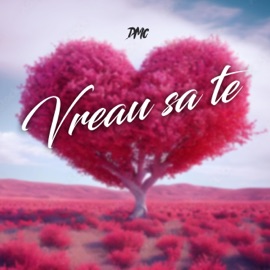Vreau sa te DMC