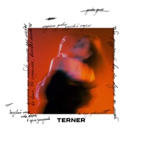задевай - Single - TERNER