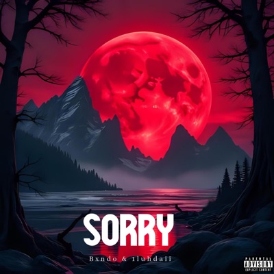 SORRY (feat. 1luhdaii) - Single