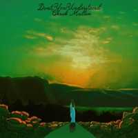 Don't You Understand (Acoustic Version) - Single - Chuck Mullen