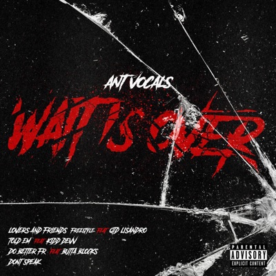 Wait is over - Single