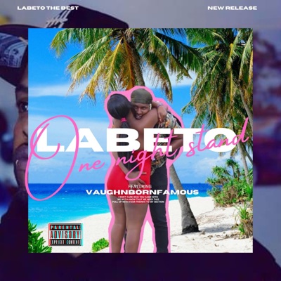 One night stand (feat. Vaughnbornfamous) - Single