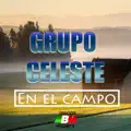 EN EL CAMPO