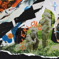 OVERLOAD - Single - Sage X Price & Zoodeville