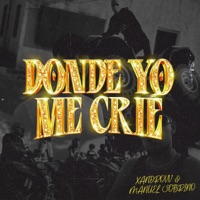 DONDE YO ME CRIÉ - Single - Xandrovv