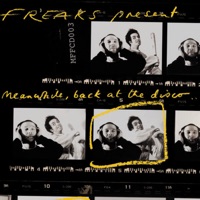 Meanwhile, Back at the Disco... - Freaks