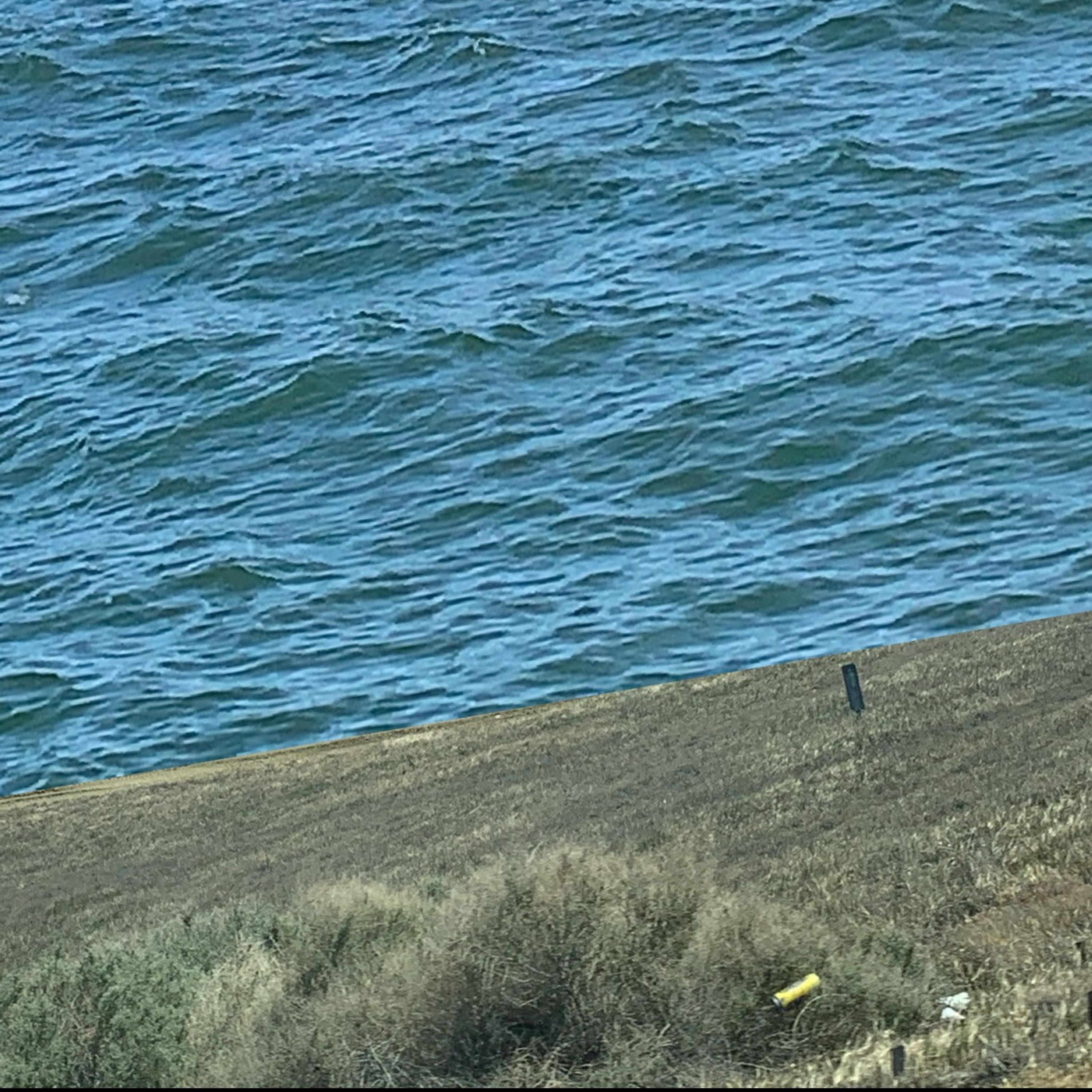 2025 VENICE ORIZZONTI - Kent Jones and Edmund Donovan, Director and Actor - Late Fame