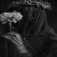 HANS ZIMMER - Single - Errol Holden