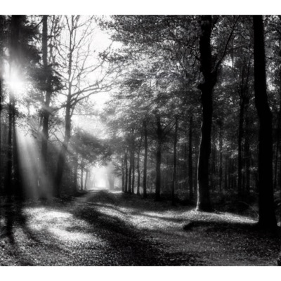 MY PATH - Single