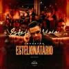 Estelionatário - Single