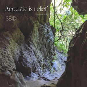 Acoustic Is Relief - Single