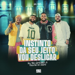 Instinto / Dá seu Jeito / Vou Desligar (Ao Vivo feat. Gamadinho)