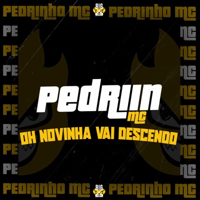 Oh Novinha Vai Descendo - Single