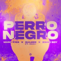 Perro Negro (feat. KOAV) - Single - Marc Kiss, Gulmee & Swae Boy