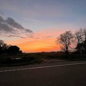 disconnected - Single